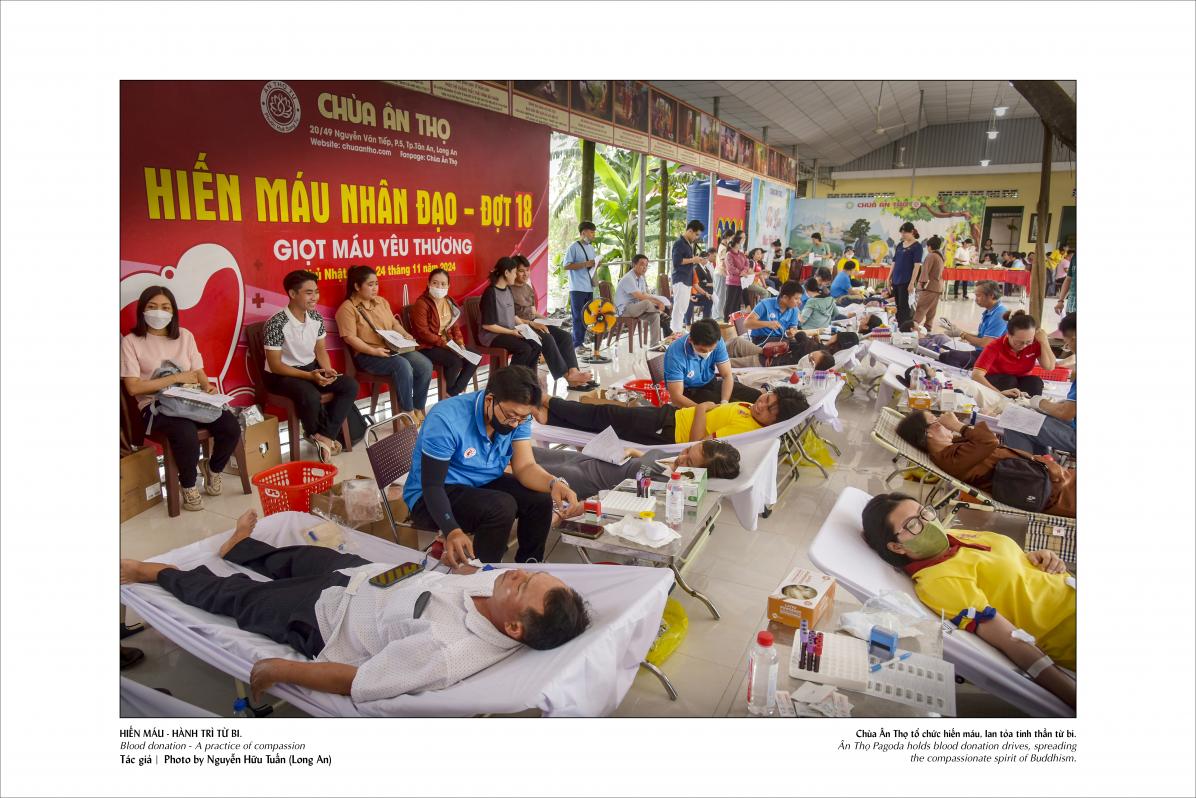 Sách ảnh nghệ thuật “Tuệ giác Phật giáo: Nhân phẩm và Hòa bình” chào mừng Đại lễ Vesak 2025