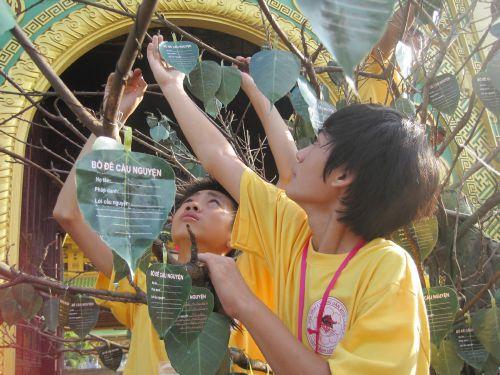 3000 chiếc lá Bồ đề trên cây nguyện ước