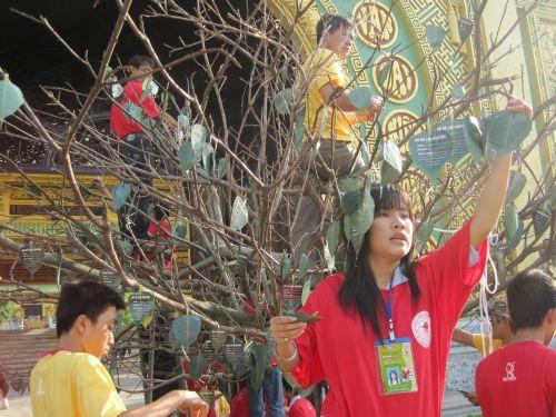 3000 chiếc lá Bồ đề trên cây nguyện ước