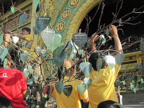 3000 chiếc lá Bồ đề trên cây nguyện ước