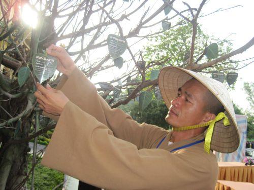3000 chiếc lá Bồ đề trên cây nguyện ước