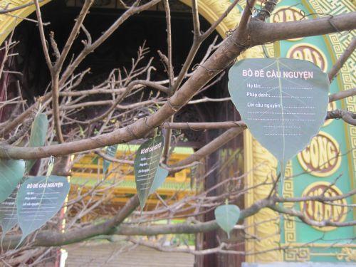 3000 chiếc lá Bồ đề trên cây nguyện ước