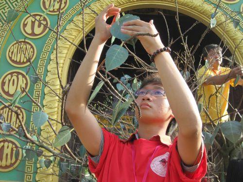 3000 chiếc lá Bồ đề trên cây nguyện ước