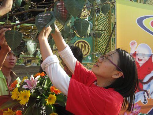 3000 chiếc lá Bồ đề trên cây nguyện ước