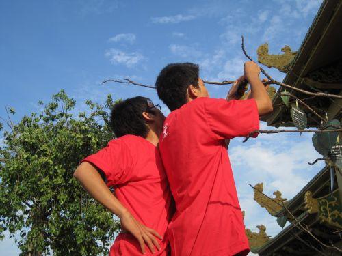 3000 chiếc lá Bồ đề trên cây nguyện ước