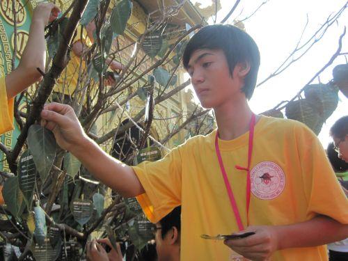 3000 chiếc lá Bồ đề trên cây nguyện ước