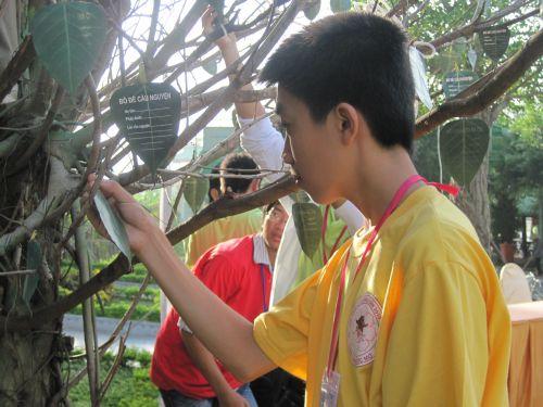 3000 chiếc lá Bồ đề trên cây nguyện ước