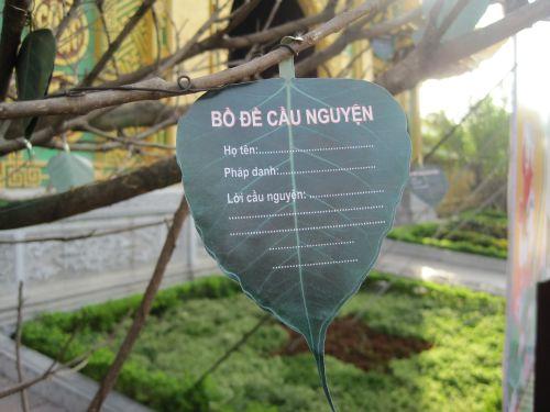 3000 chiếc lá Bồ đề trên cây nguyện ước