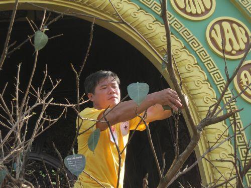 3000 chiếc lá Bồ đề trên cây nguyện ước