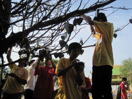 3000 chiếc lá Bồ đề trên cây nguyện ước