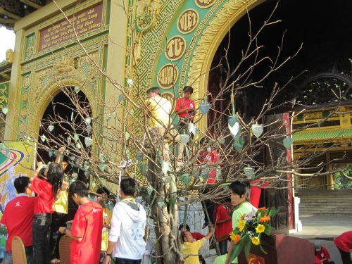 3000 chiếc lá Bồ đề trên cây nguyện ước