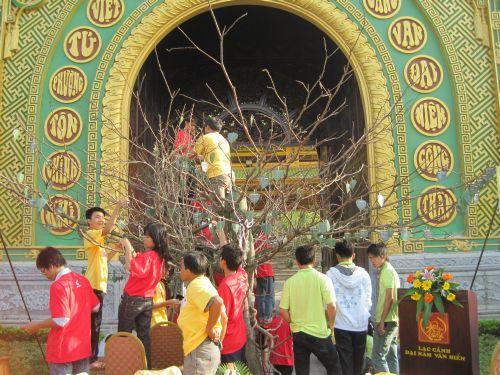 3000 chiếc lá Bồ đề trên cây nguyện ước