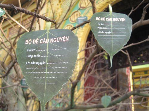 3000 chiếc lá Bồ đề trên cây nguyện ước