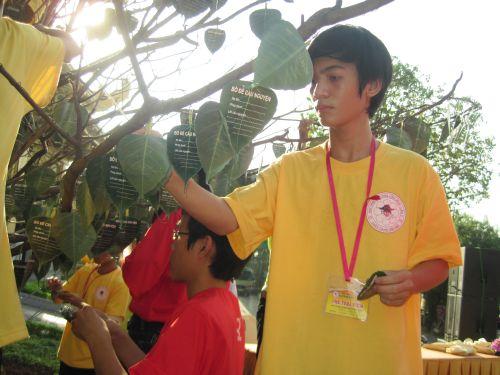 3000 chiếc lá Bồ đề trên cây nguyện ước