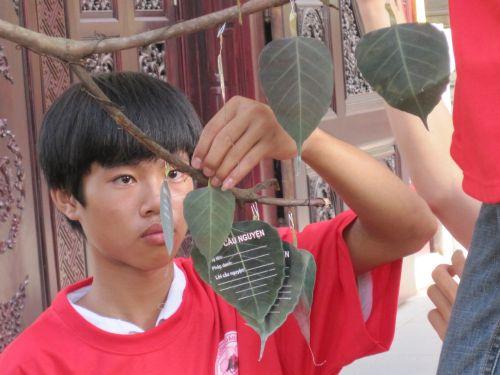 3000 chiếc lá Bồ đề trên cây nguyện ước