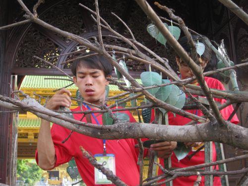 3000 chiếc lá Bồ đề trên cây nguyện ước