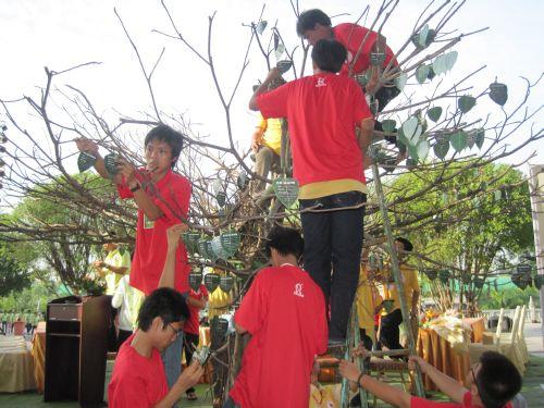3000 chiếc lá Bồ đề trên cây nguyện ước