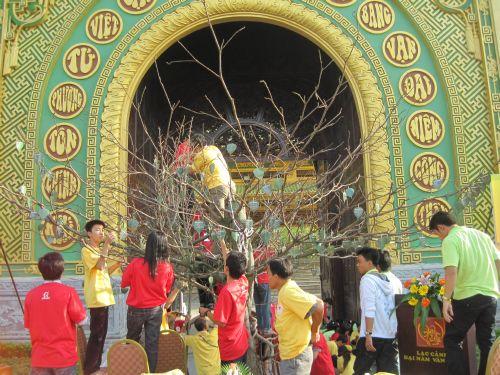 3000 chiếc lá Bồ đề trên cây nguyện ước