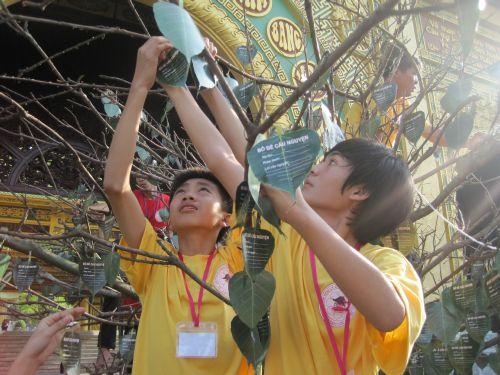 3000 chiếc lá Bồ đề trên cây nguyện ước