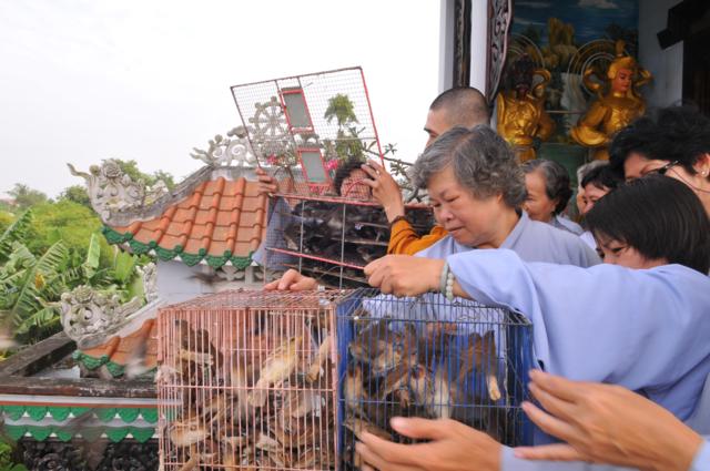 Tp.Hồ Chí Minh : Chùa Phước Trí (Hóc Môn) Tổ Chức Lễ Khởi Công Động Thổ Trùng Tu Tái Thiết Ngôi Tổ Đường, Tăng Xá Và Nhà Trù