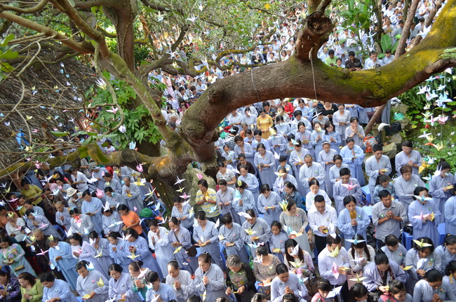 Viện Chuyên Tu, hơn 10.000  nam Nữ Phật tử về tham dự “Lễ Hội Vu Lan”