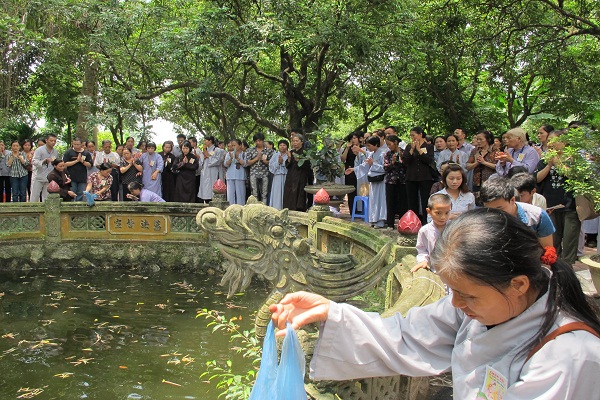 Hà Nội: Chùa Sủi Tổ Chức Đại lễ Vu Lan Báo Hiếu
