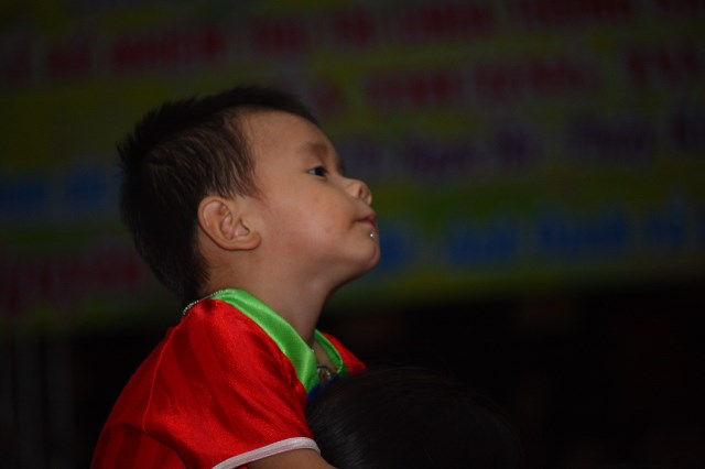 Hà Tĩnh: Những hoạt động Phật sự ý nghĩa trước lễ bổ nhiệm Trụ trì