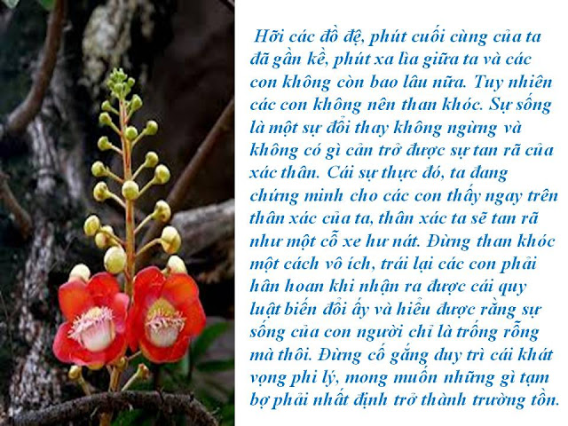 Những lời dạy cuối cùng của Phật