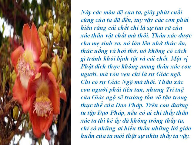 Những lời dạy cuối cùng của Phật