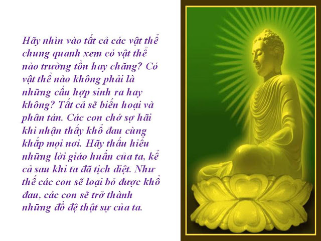 Những lời dạy cuối cùng của Phật
