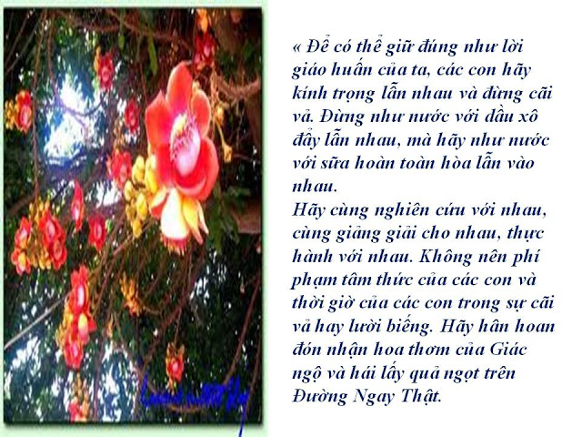 Những lời dạy cuối cùng của Phật