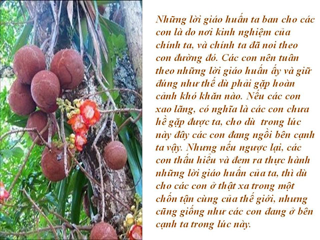 Những lời dạy cuối cùng của Phật