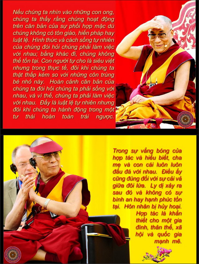 Đường đến an bình thật sự (9)
