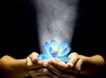 Đọc “ XIN THƠ” của Lê Đăng Mành