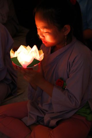 Tiền Giang: lung linh và cảm động đêm mặc niện hoa hồng chùa Nam An