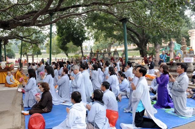 Đoàn Phật tử Hoa Kỳ, Cananda và Việt Nam hành hương đất Phật