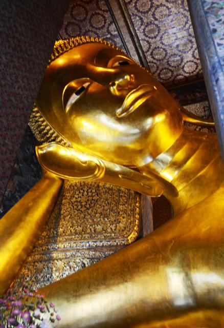 Đoàn Phật tử Hoa Kỳ, Cananda và Việt Nam hành hương đất Phật