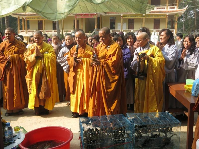 Vĩnh Phúc: Tịnh Viên Vân Sơn Tam đảo tổ chức Đại lễ Phật Thành Đạo