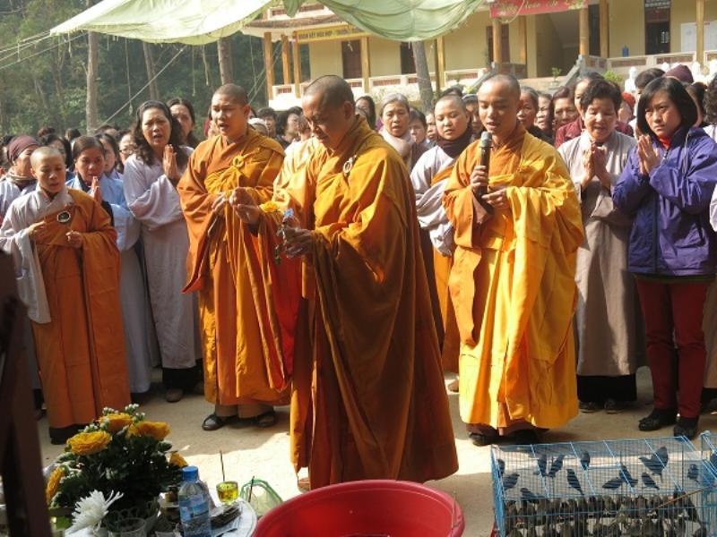 Vĩnh Phúc: Tịnh Viên Vân Sơn Tam đảo tổ chức Đại lễ Phật Thành Đạo