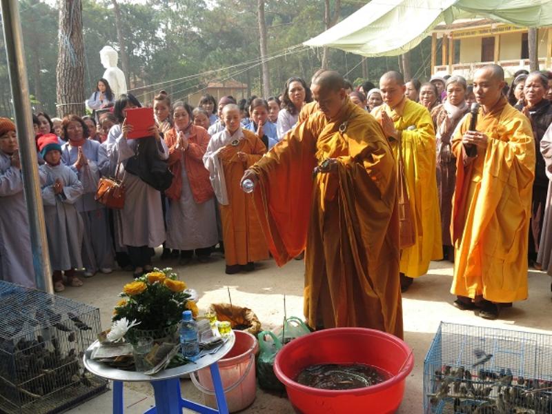 Vĩnh Phúc: Tịnh Viên Vân Sơn Tam đảo tổ chức Đại lễ Phật Thành Đạo