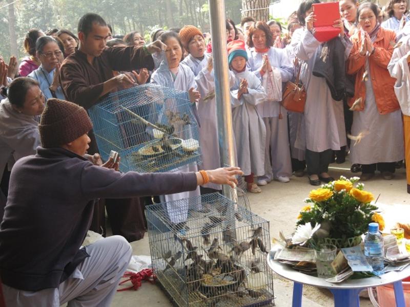 Vĩnh Phúc: Tịnh Viên Vân Sơn Tam đảo tổ chức Đại lễ Phật Thành Đạo