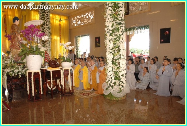 Chùm ảnh: Lãnh đạo Đảng, Nhà nước, Chính phủ viếng lễ tang ĐLHT. Thích Trí Tịnh