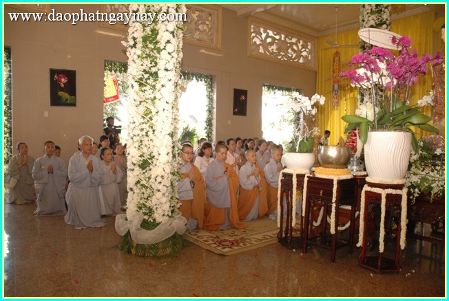 Chùm ảnh: Lãnh đạo Đảng, Nhà nước, Chính phủ viếng lễ tang ĐLHT. Thích Trí Tịnh