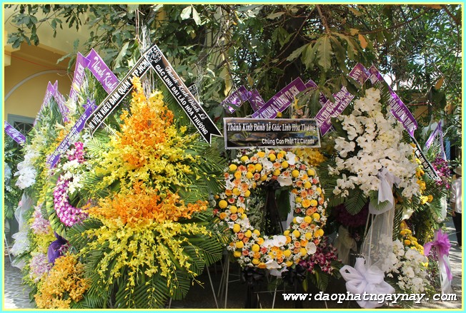 Chùm ảnh: Các phái đoàn viếng Giác linh ĐLHT. Thích Trí Tịnh buổi chiều ngày 01-04-2014