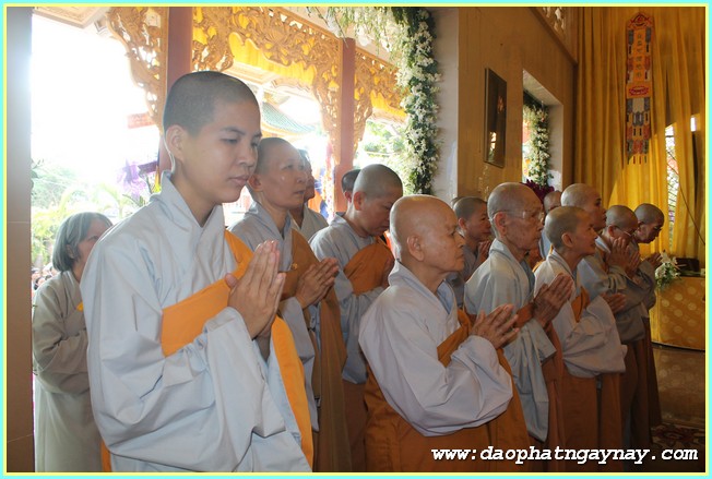 Chùm ảnh: Các phái đoàn viếng Giác linh ĐLHT. Thích Trí Tịnh buổi chiều ngày 01-04-2014