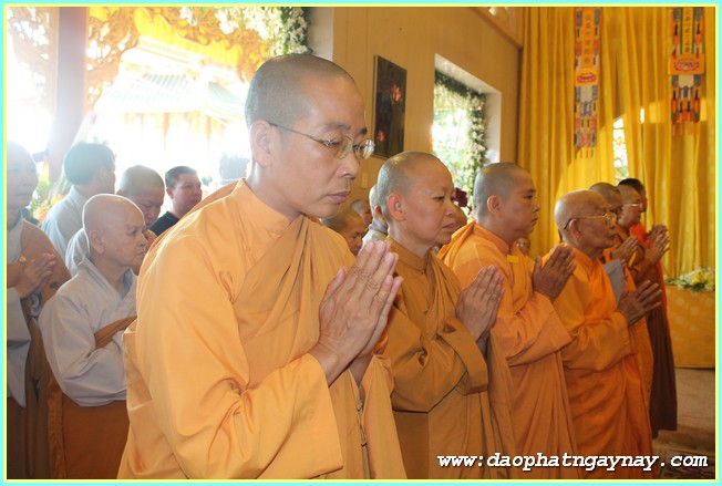 Chùm ảnh: Các phái đoàn viếng Giác linh ĐLHT. Thích Trí Tịnh buổi chiều ngày 01-04-2014