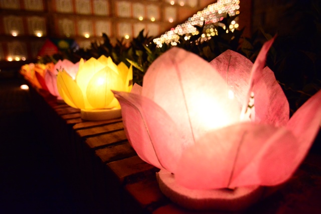 Vesak 2014: Lãnh đạo đảng, nhà nước, Phật giáo quốc tế cầu nguyện hòa bình