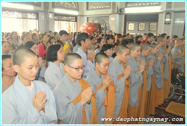 TP. HCM: Quan Âm tu viện cúng dường trường hạ