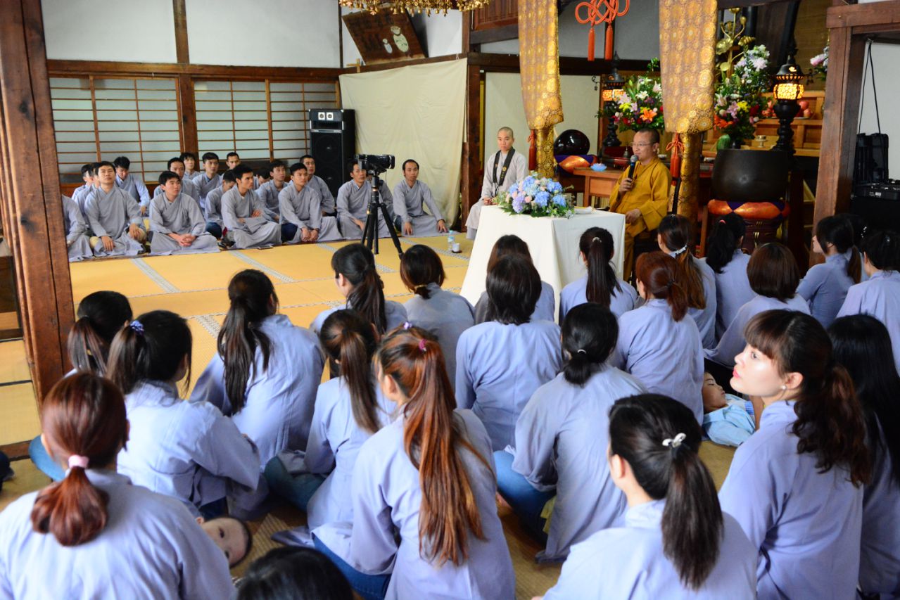 Phỏng Vấn Sư Cô Như Tâm, Hội Phó Hội Phật Tử Việt Nam Tại Nhật Bản