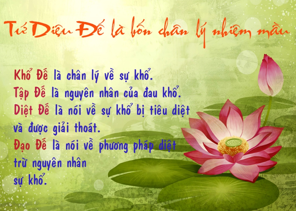 Thấy và biết